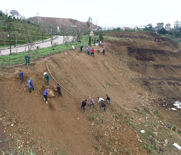 Kể chuyện người trồng hoa ở các khu du lịch - Anh 3