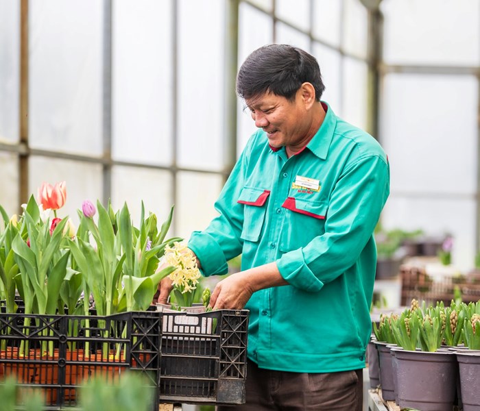 Kể chuyện người trồng hoa ở các khu du lịch - Anh 4