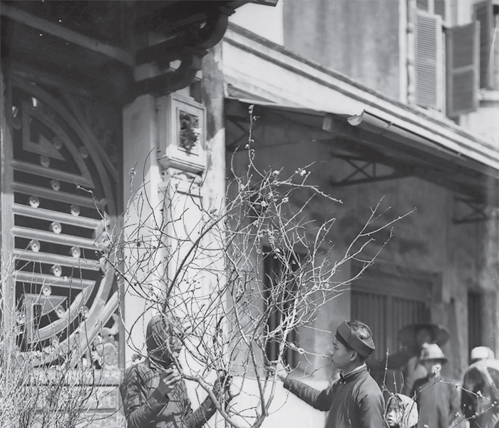 Nhà thơ mà cũng đi chợ Tết - Anh 1