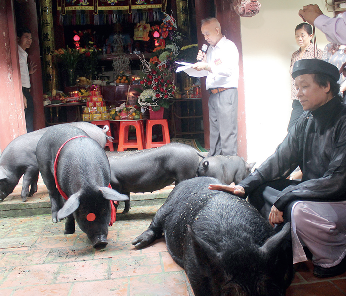 Lạ lẫm tục rước “ông Lang” - Anh 2