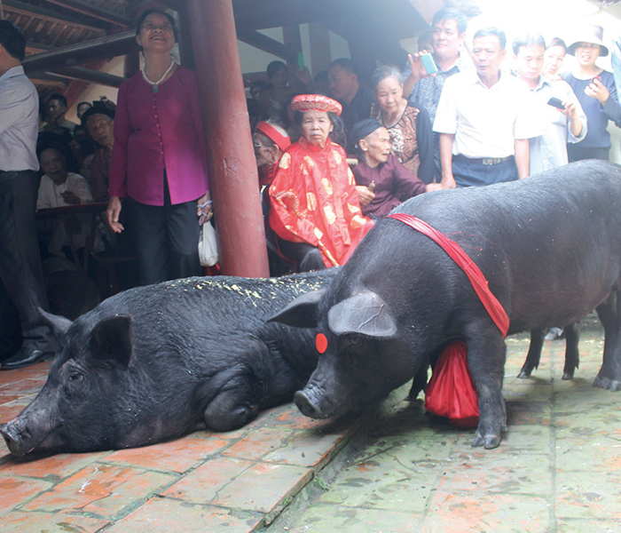 Lạ lẫm tục rước “ông Lang” - Anh 3