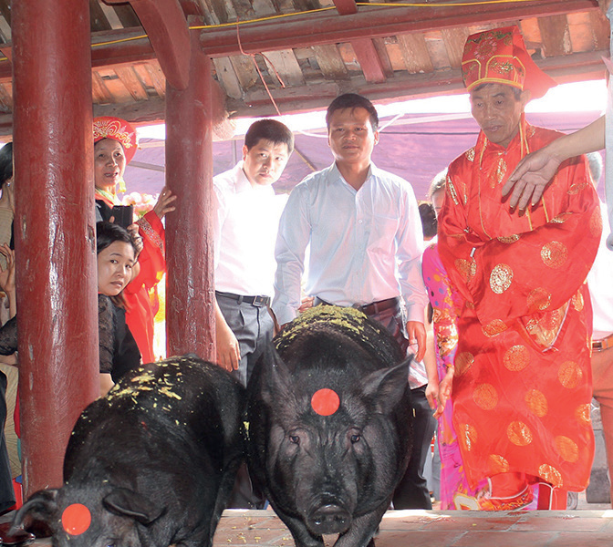 Lạ lẫm tục rước “ông Lang” - Anh 1