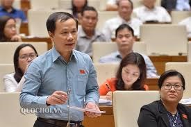 Đại biểu Quốc hội lo ngại về tội phạm ma tuý - Anh 2