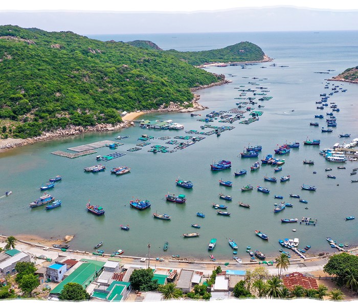 Viễn cảnh tươi sáng của Ninh Chữ - Anh 10