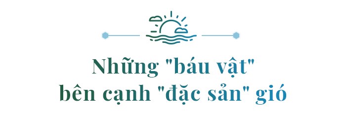 Viễn cảnh tươi sáng của Ninh Chữ - Anh 7