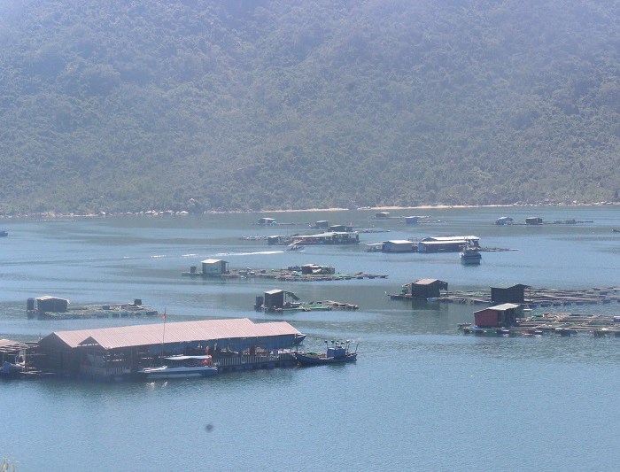 Cấm cũng như không! - Anh 2