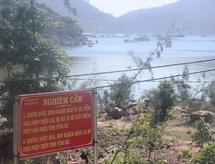 Cấm cũng như không! - Anh 1