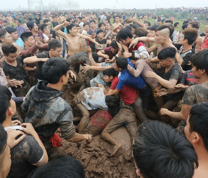 Cướp phết, chọi trâu: Không đảm bảo an toàn, dứt khoát dừng tổ chức - Anh 1