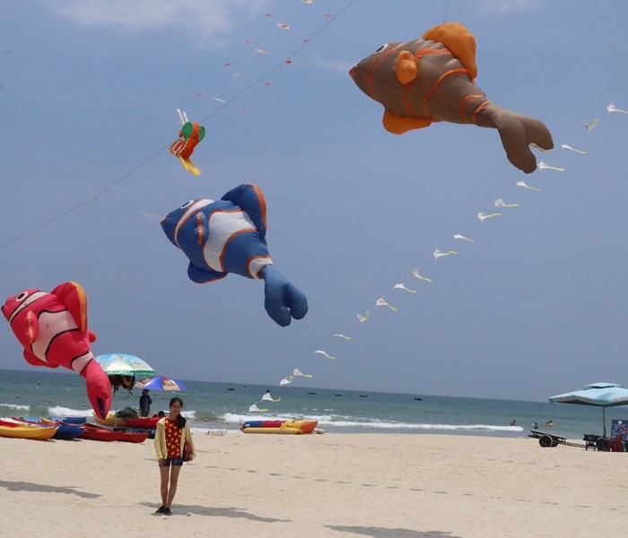 Lễ hội pháo hoa Quốc tế Đà Nẵng 2018: Việt Nam - Ba Lan mở màn “Nhịp cầu tình yêu” - Anh 7