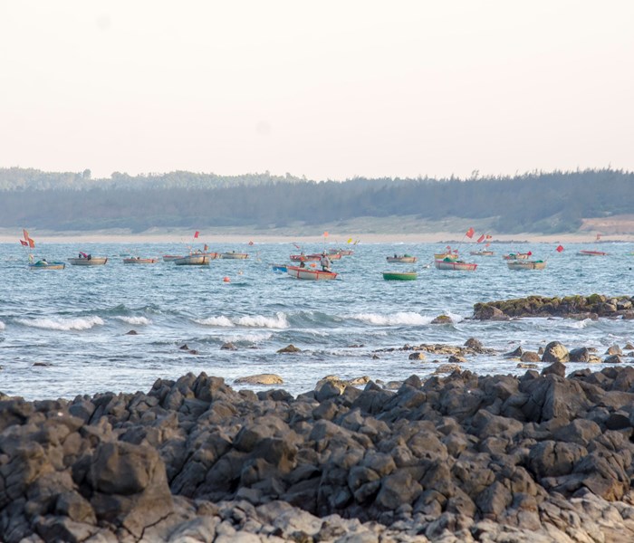 Dân chài lại lo lắng vì... FLC - Anh 2