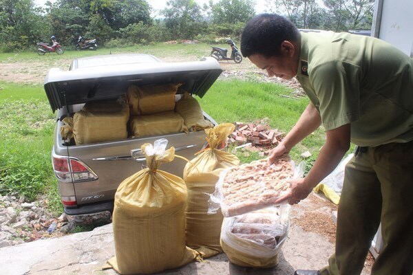 Phát hiện cơ sở chế biến hơn 1200kg nội tạng không nguồn gốc - Anh 1