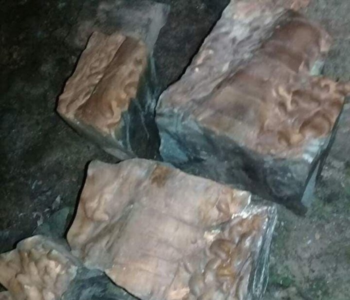 Quảng Ninh: Phát hiện một hang động với nhiều mảnh hoá thạch kỳ lạ - Anh 1