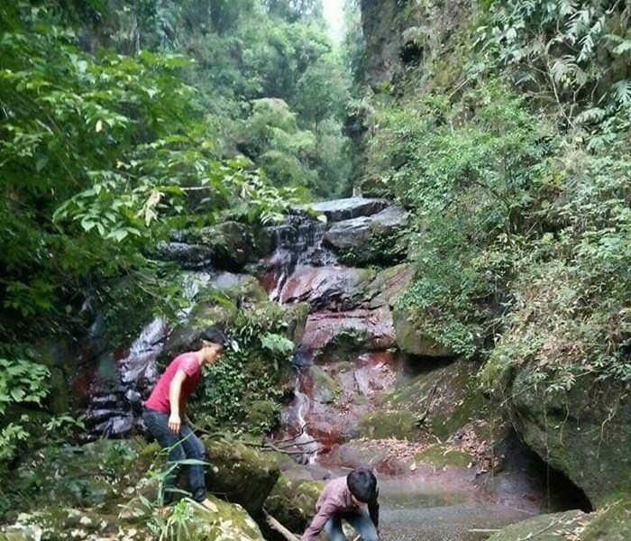 Quảng Ninh: Phát hiện một hang động với nhiều mảnh hoá thạch kỳ lạ - Anh 2