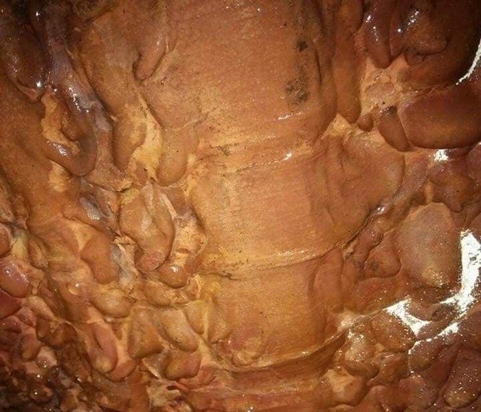 Quảng Ninh: Phát hiện một hang động với nhiều mảnh hoá thạch kỳ lạ - Anh 3