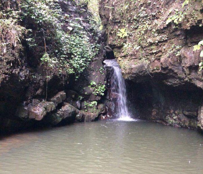 Quảng Ninh: Phát hiện một hang động với nhiều mảnh hoá thạch kỳ lạ - Anh 4