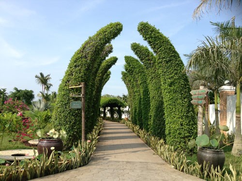 Phát động cuộc thi sáng tác biểu trưng và khẩu hiệu du lịch Bến Tre - Anh 1