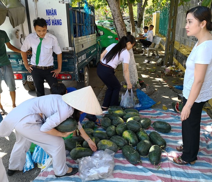Quảng Nam: “Giải cứu” dưa hấu giúp nông dân - Anh 4