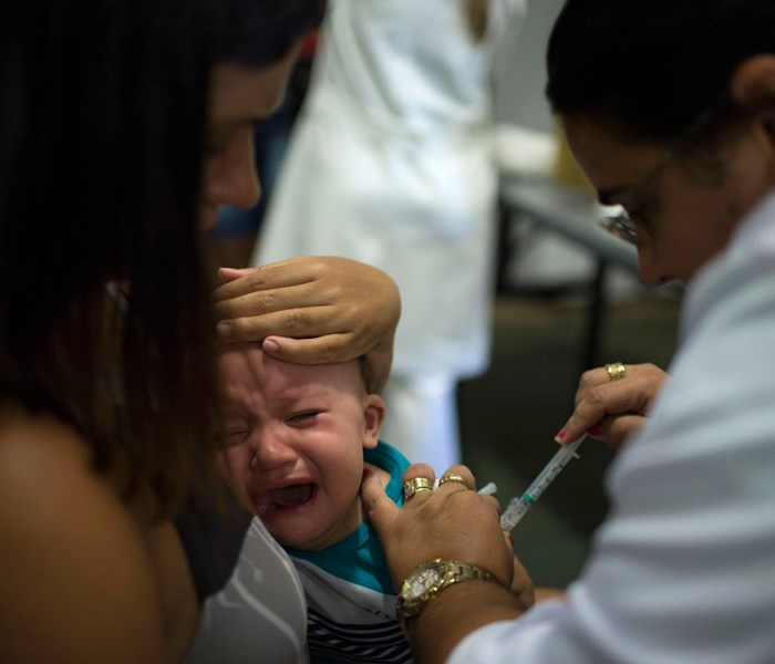 Brazil​: Dịch sốt vàng da gây ra hơn 400 ca tử vong - Anh 1
