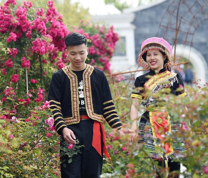 Tháng 5, lên Fansipan ngắm ngàn gốc hồng đua nở dưới chân núi - Anh 6