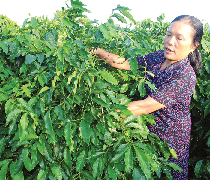 Trở lại nơi “đất thương người” - Anh 2