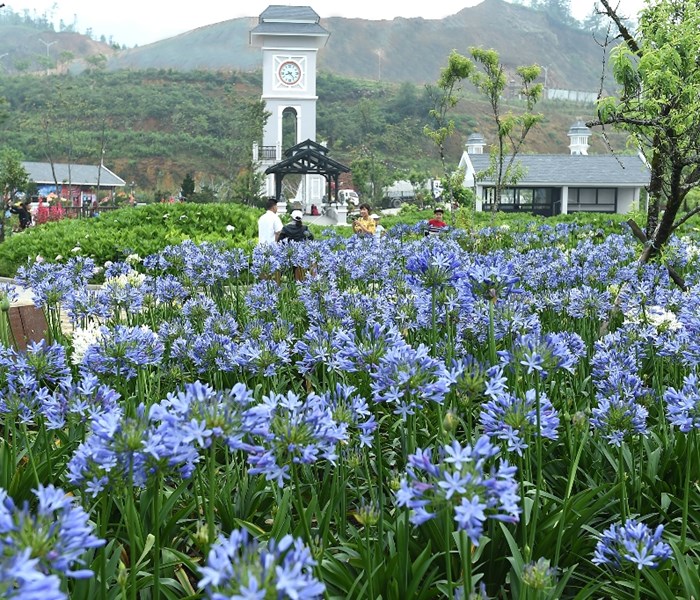 Hình ảnh đối lập thú vị về mùa hè ở Hà Nội và Sa Pa - Anh 1