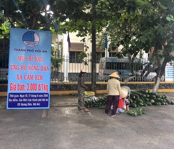Hội An: Bạn trẻ giúp nông dân tiêu thụ bí đao - Anh 3