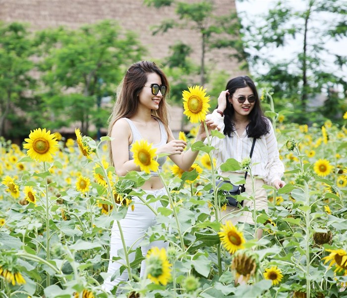 Bật tung cảm xúc với tổ hợp vui chơi giải trí Sun World Halong Complex - Anh 3