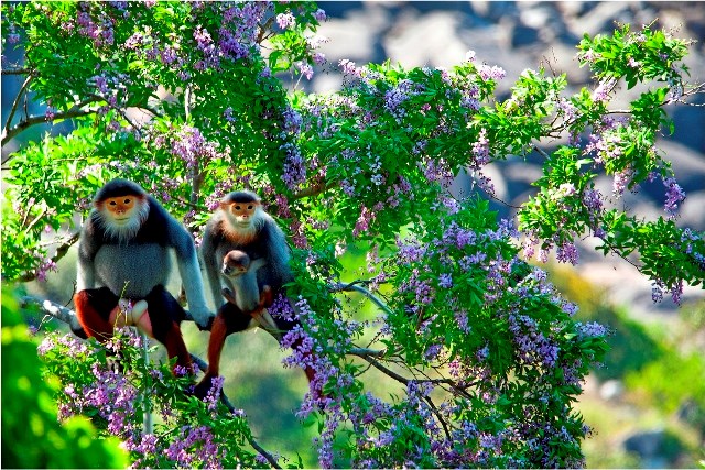 Cuộc thi ảnh nghệ thuật Du lịch toàn quốc lần thứ 8 “Tôi yêu Việt Nam”: Góc nhìn lạ, khoảnh khắc độc và cảm xúc mới - Anh 1