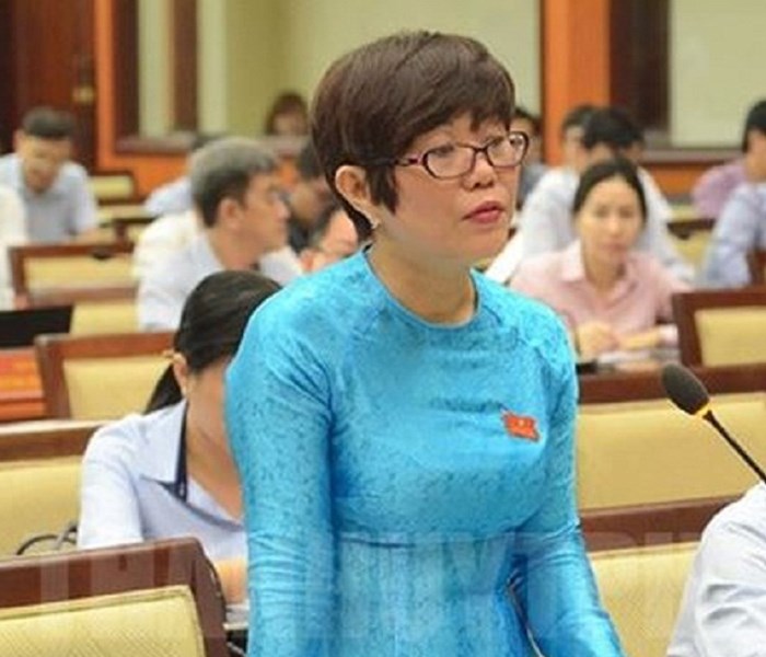 HĐND TP.HCM: Nóng vấn đề bảo tồn di sản văn hóa Dinh Thượng Thư - Anh 1