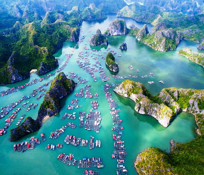 Hải Phòng: Điều chỉnh quy hoạch tổng thể, phát triển du lịch bền vững quần đảo Cát Bà - Anh 1