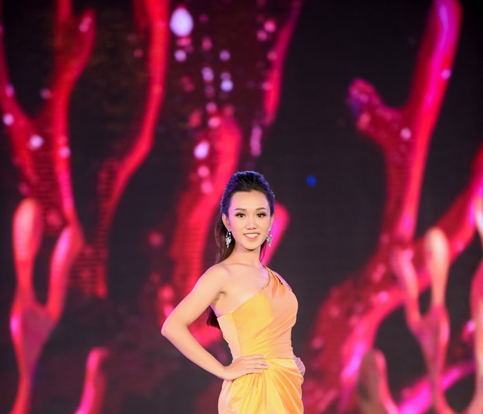 Lộ diện 25 người đẹp phía Bắc vào Chung kết Hoa hậu Việt Nam 2018 - Anh 17