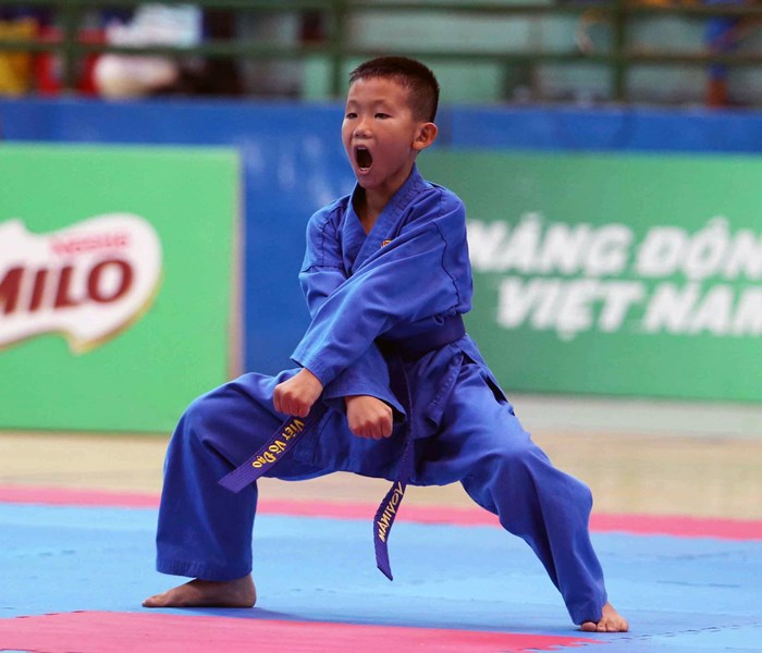 TP.HCM giành ngôi đầu toàn đoàn giải vovinam học sinh toàn quốc - Anh 3