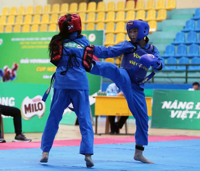 TP.HCM giành ngôi đầu toàn đoàn giải vovinam học sinh toàn quốc - Anh 4