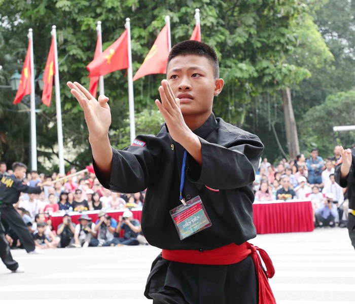Lễ hội đường phố Hà Nội  kỉ niệm 10 năm điều chỉnh địa giới hành chính - Anh 12