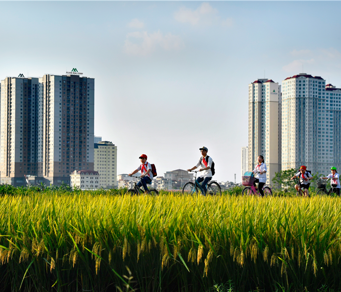Cuộc sống ngoại thành Hà Nội qua ống kính - Anh 1