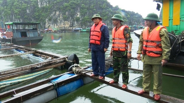 TP Hải Phòng: Gần 1.000 du khách được bố trí nơi ở an toàn - Anh 1