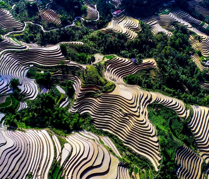 Làm gì để Hoàng Su Phì là điểm đến hấp dẫn? - Anh 3