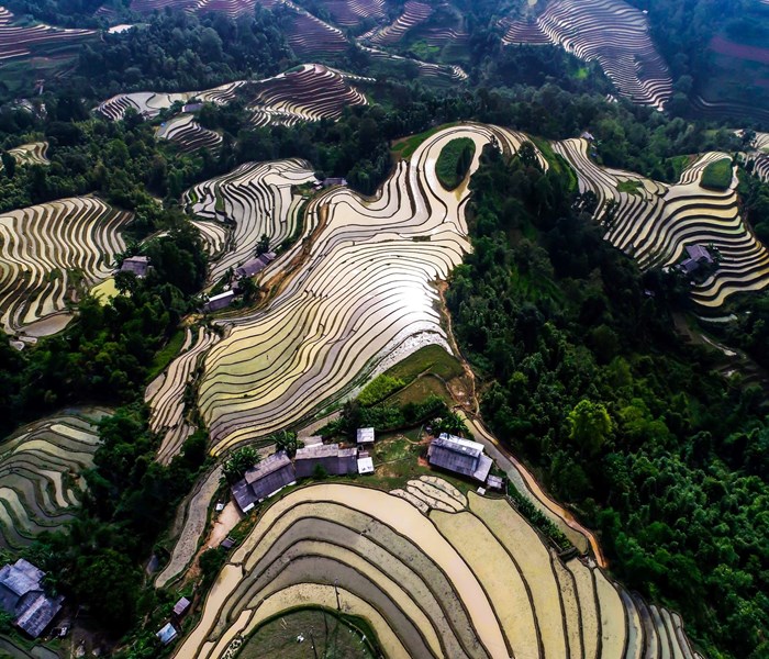 Làm gì để Hoàng Su Phì là điểm đến hấp dẫn? - Anh 4