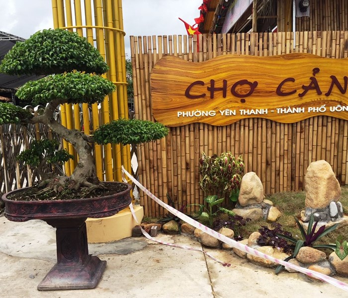 Quảng Ninh: Khai trương chợ sinh vật cảnh đầu tiên - Anh 1