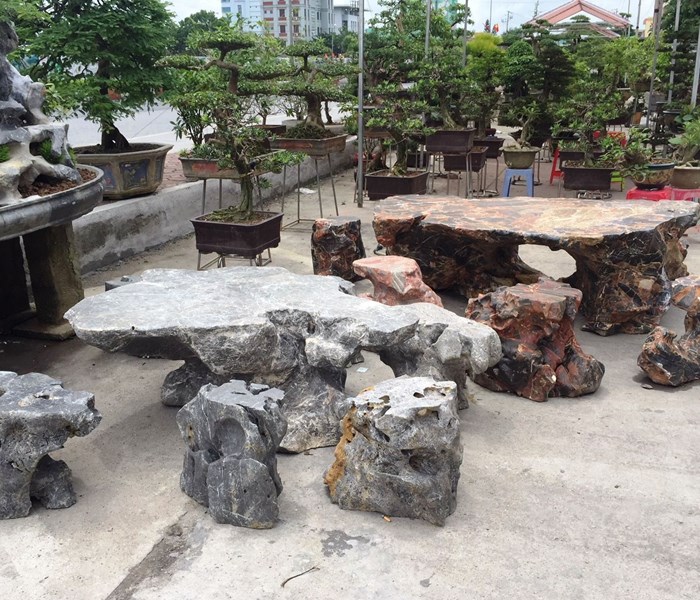 Quảng Ninh: Khai trương chợ sinh vật cảnh đầu tiên - Anh 2