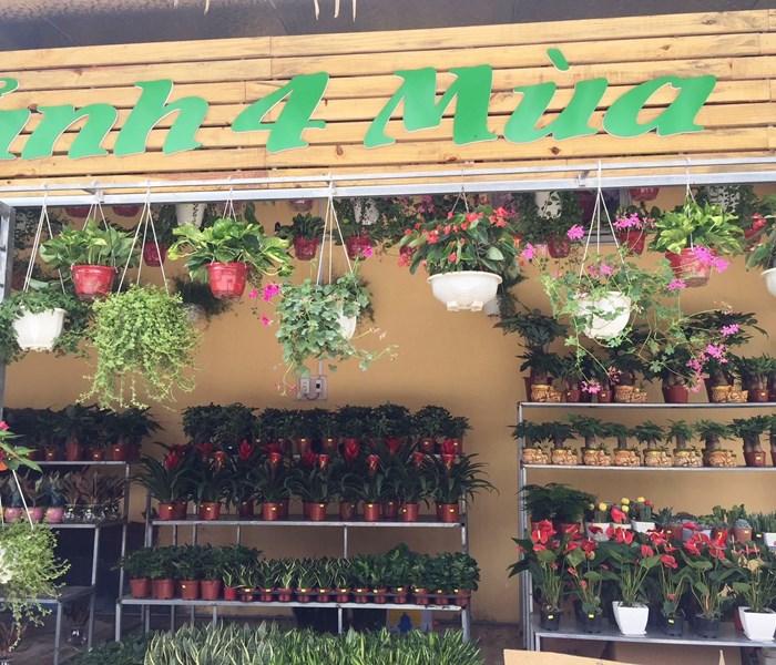 Quảng Ninh: Khai trương chợ sinh vật cảnh đầu tiên - Anh 3