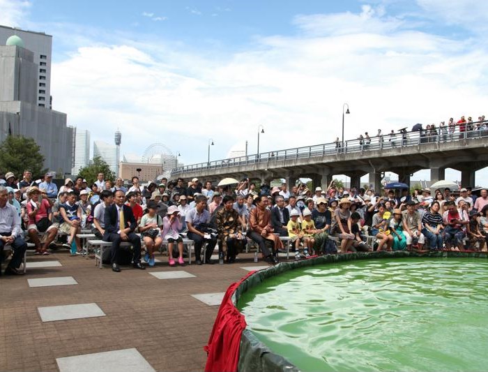 Nghệ thuật múa rối Việt Nam biểu diễn thành công tại Nhật Bản - Anh 3