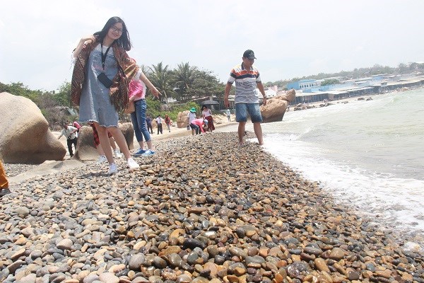 Tìm giải pháp nâng cao vị thế du lịch Nam Trung Bộ - Anh 4