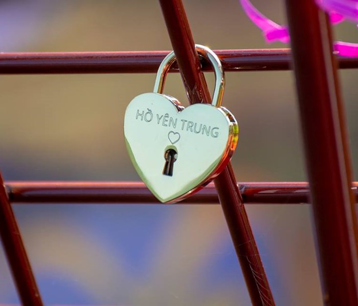 Quảng Ninh:​ Cầu Tình yêu lãng mạn trên hồ sinh thái Yên Trung - Anh 3