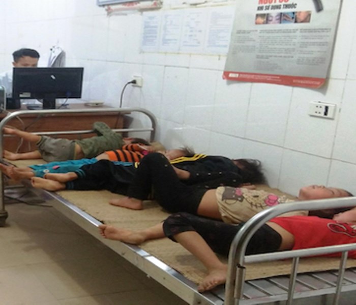 Nghệ An: Cấp cứu 7 người trong một gia đình bị ong rừng đốt nhập viện - Anh 1