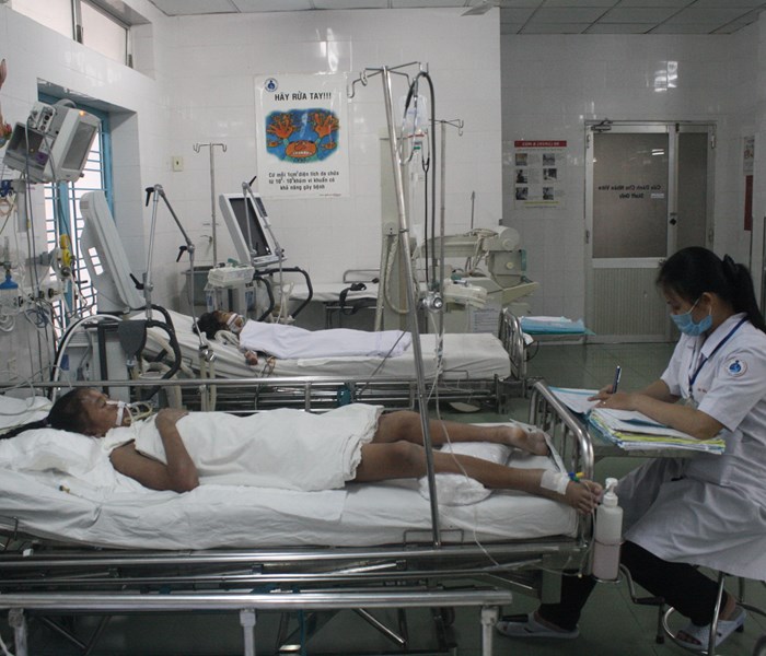 TP.HCM: Nguy cơ bùng phát bệnh tay chân miệng và sốt xuất huyết - Anh 1