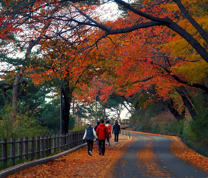 Vietjet mở bán vé đường bay Phú Quốc  - Seoul - Anh 2