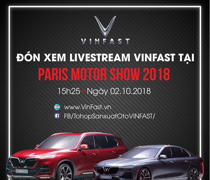 Đếm ngược giờ G đón chờ VinFast - Anh 1
