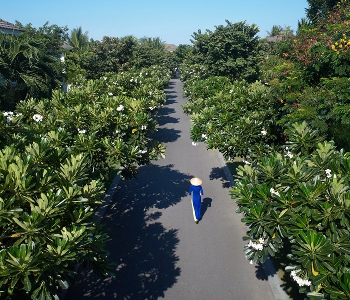 Hai công trình nghỉ dưỡng của Sun Group nhận giải World Luxury Hotel Awards 2018 - Anh 13