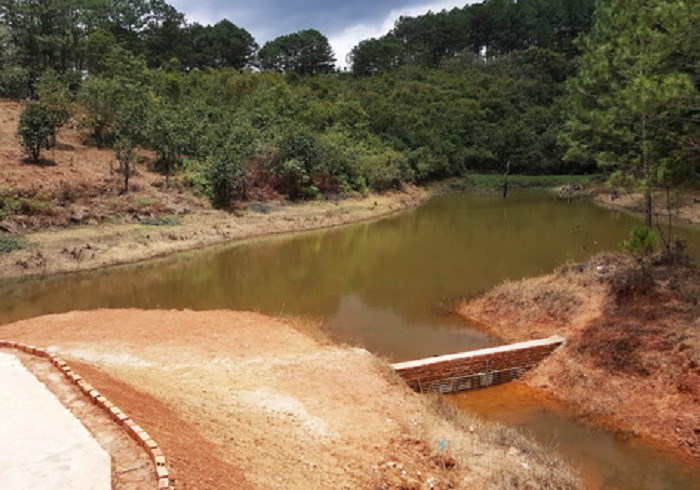 Hồ Tuyền Lâm lại bị xâm hại nghiêm trọng: Còn gì là danh thắng quốc gia? - Anh 3